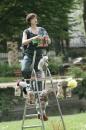 improbable bestiaire 005 * 4272 x 2848 * (8.05MB)